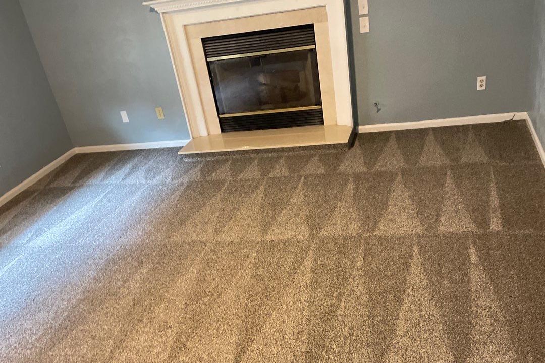 carpet cleaning virgini