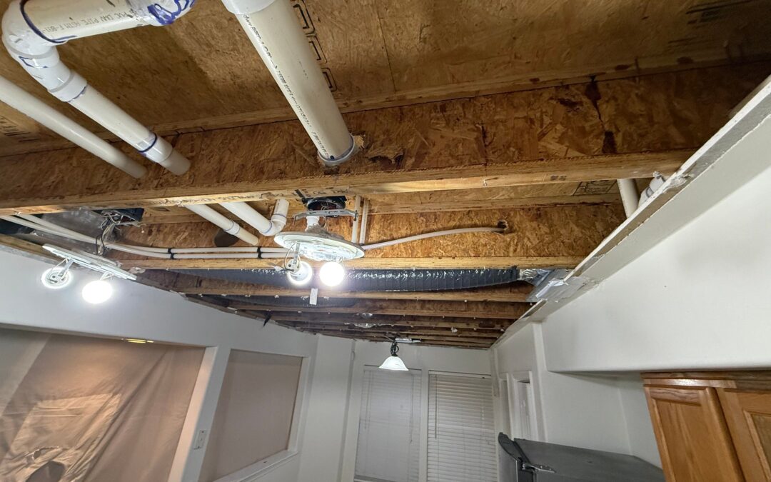 Mold Remediation Yorktown Virginia: Sara’s Kitchen Mold Removal Story