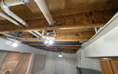 Mold Remediation Yorktown Virginia: Sara’s Kitchen Mold Removal Story
