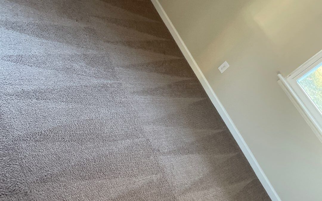 Carpet Cleaning Norfolk, Virginia