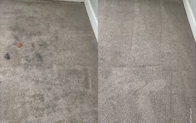 Expert Carpet Cleaning in Norfolk, Virginia – IRPM’s Move-Out Success