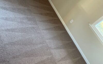 Carpet Cleaning Norfolk, Virginia