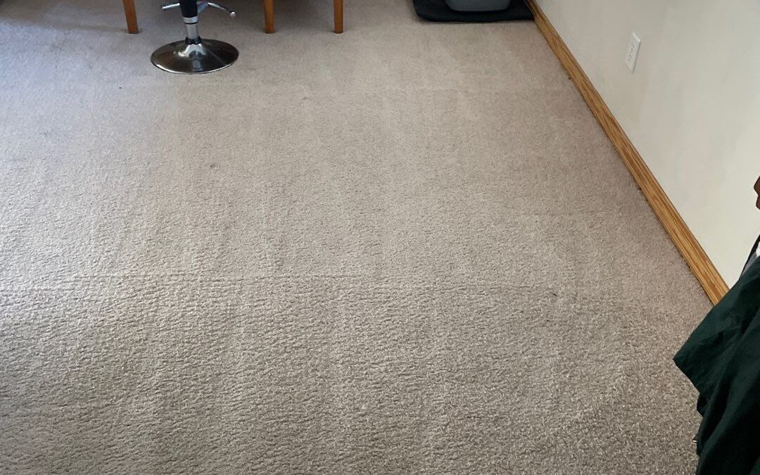 Carpet Cleaning in Virginia Beach, VA That Restores Your Floors