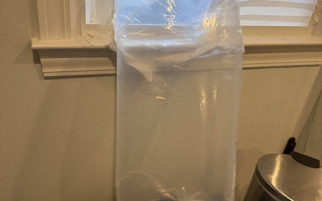Mold Remediation Experts in Virginia Beach