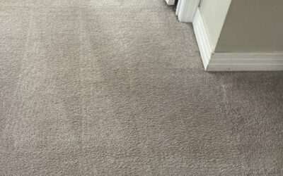 Carpet Cleaning Experts in Virginia Beach