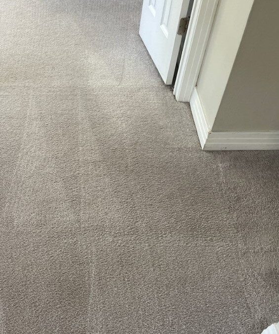 Carpet Cleaning Experts in Virginia Beach