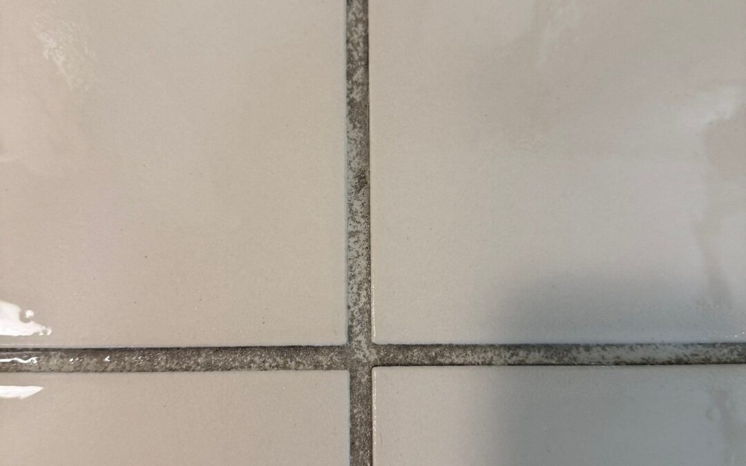 Tile and Grout Cleaning Chesapeake VA